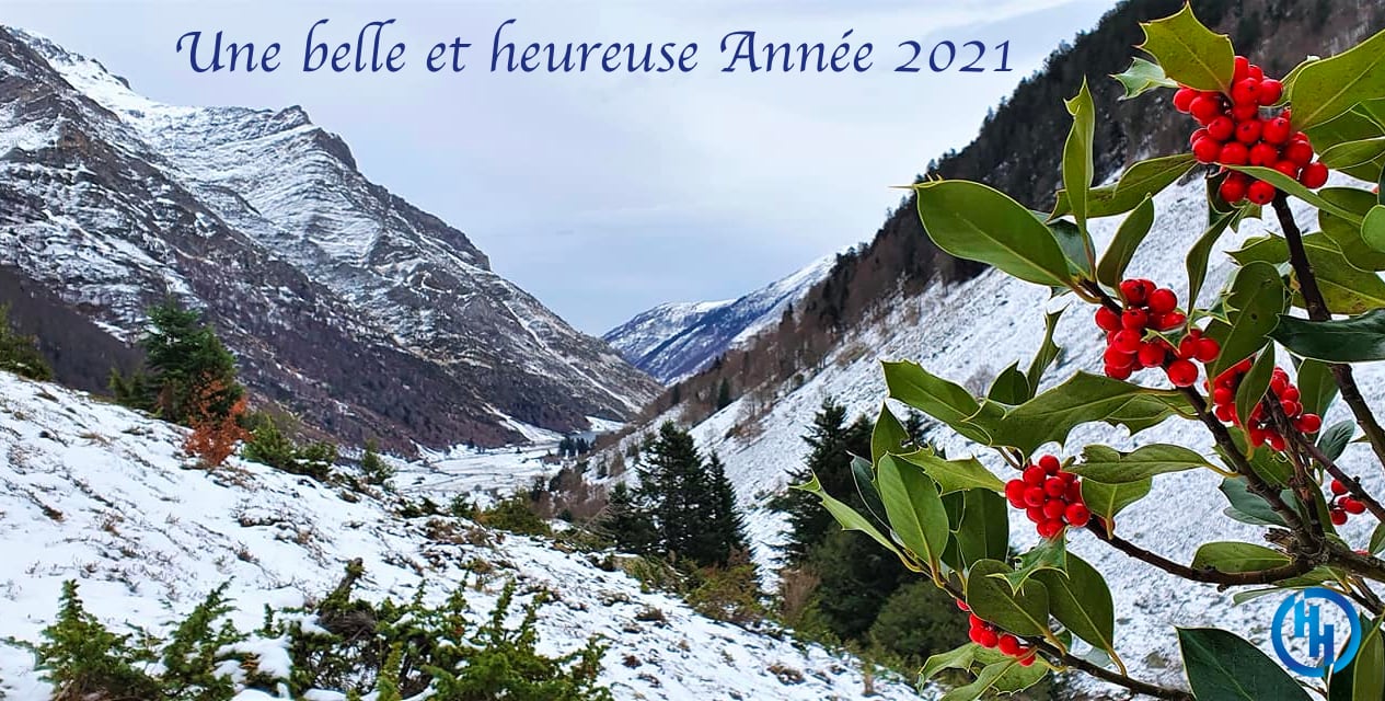 NOUVELLE-ANNEE-2021-HYPNOSE